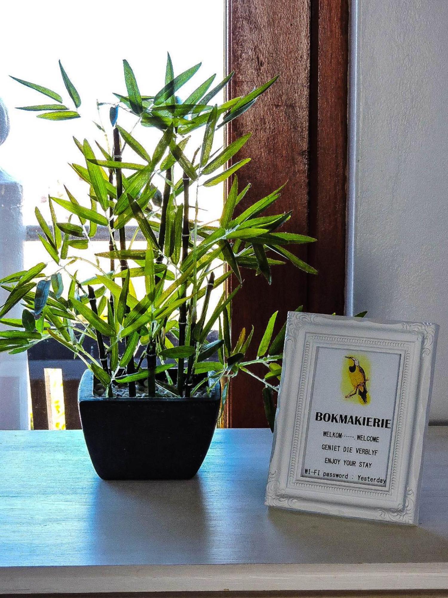 Amzee Bokmakierie Guest House Dana Bay Екстериор снимка